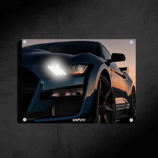 Ford Shelby GT500 Glowplate (White Neon)